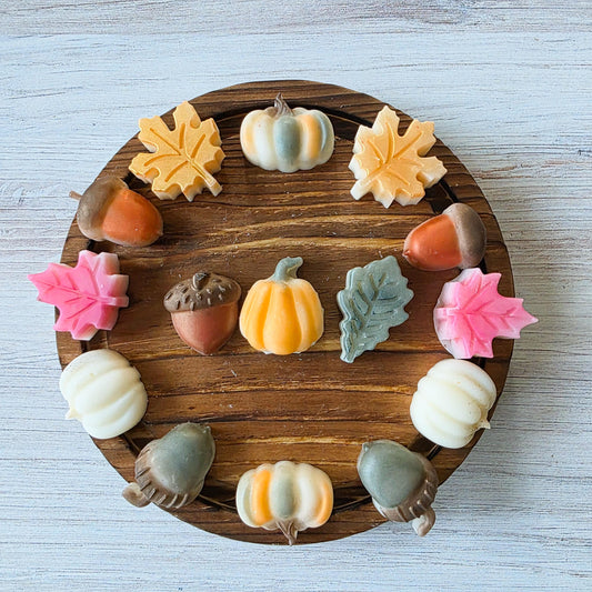 Cozy Vibes | soy wax melts | cozy home