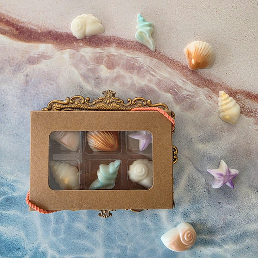 Seaside Shell - soy wax melts