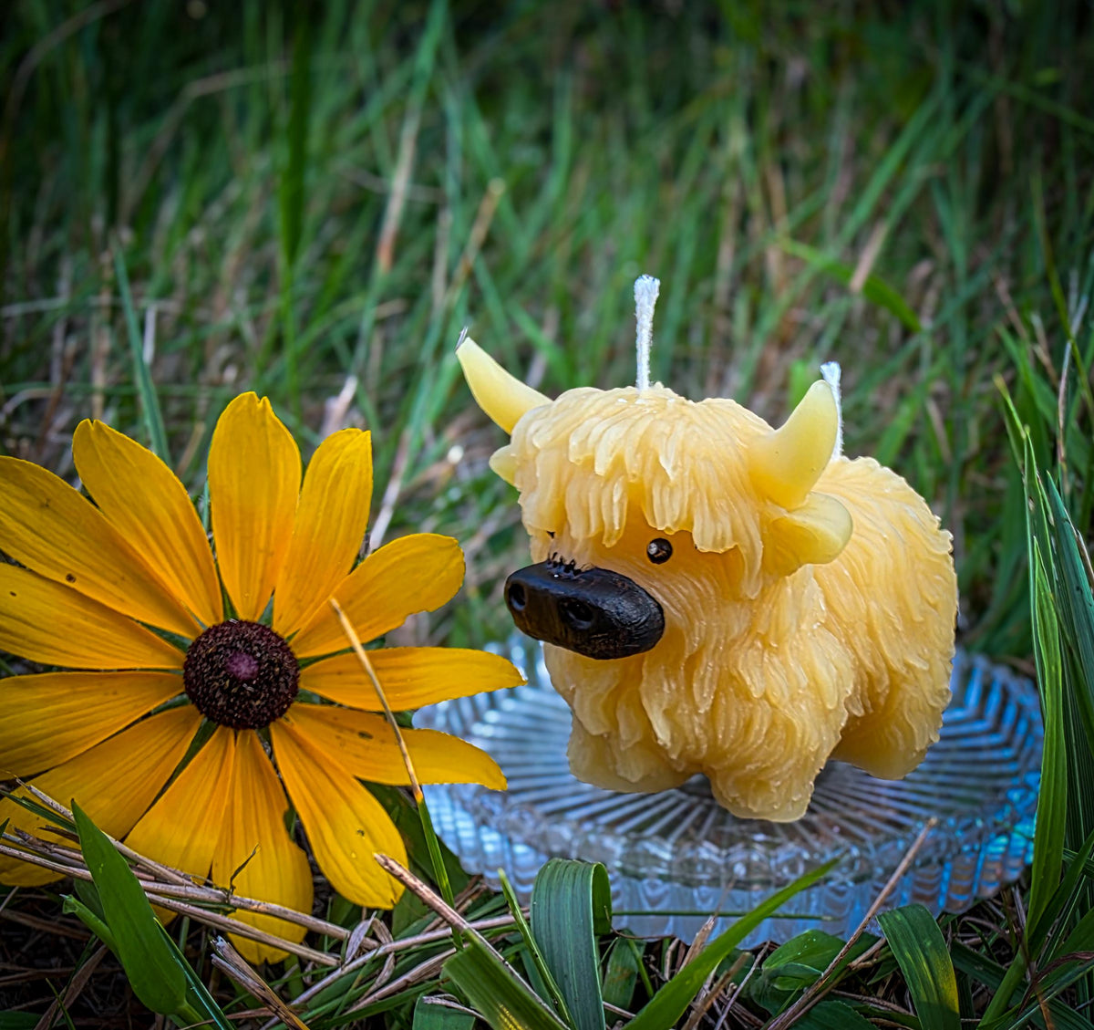 Golden Highland Cow | Yellow Bees Wax Candle