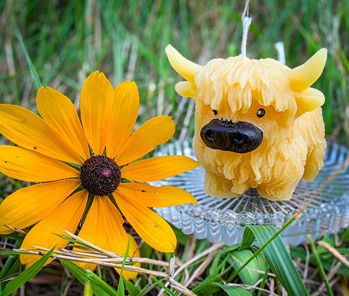 Golden Highland Cow | Yellow Bees Wax Candle