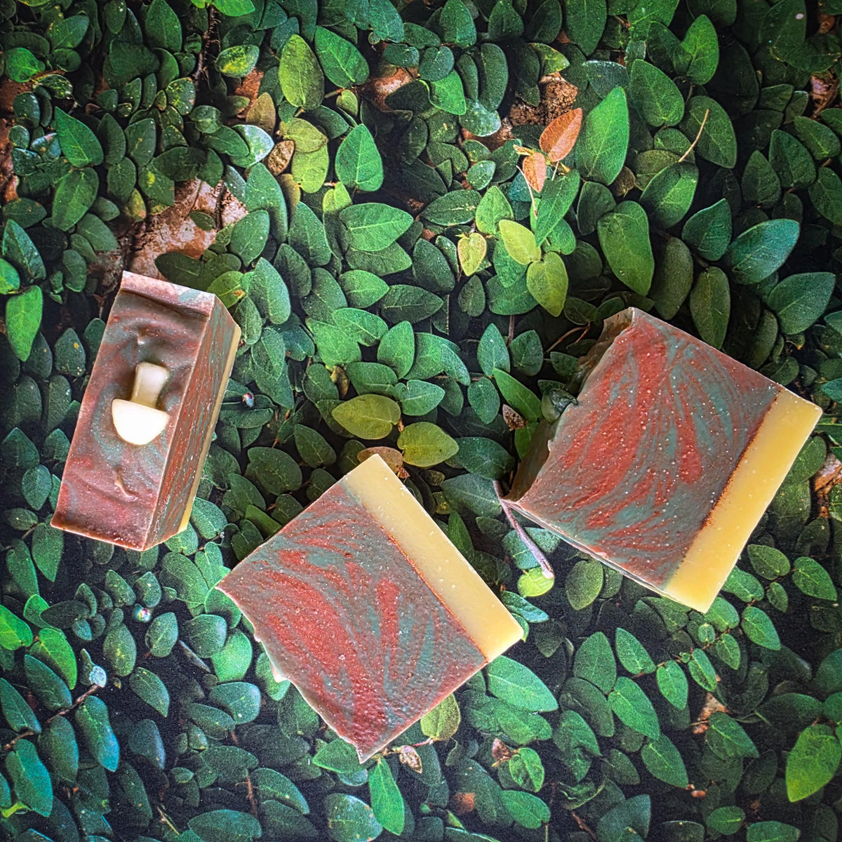 Whispering Woods Bar Soap