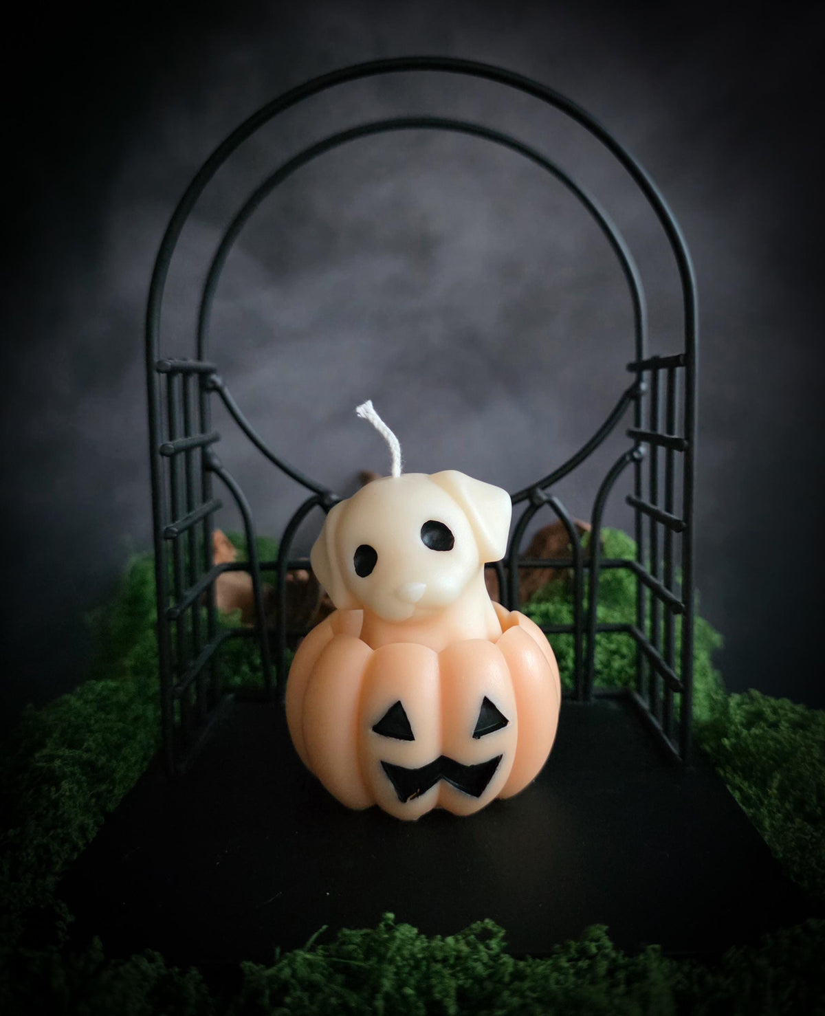 Howl-O-Ween Pup | Pumpkin Spice | Soy Wax Candle